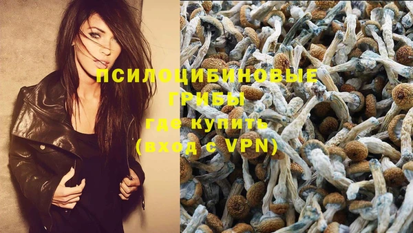 Альфа ПВП Абаза